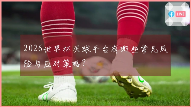 2026世界杯买球平台有哪些常见风险与应对策略？