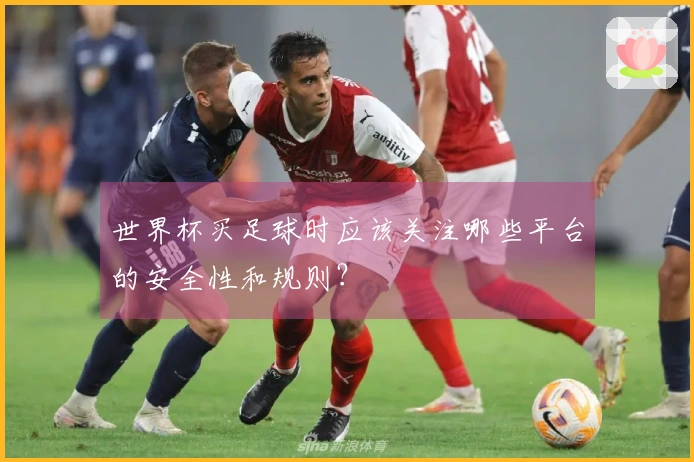 世界杯买足球时应该关注哪些平台的安全性和规则？