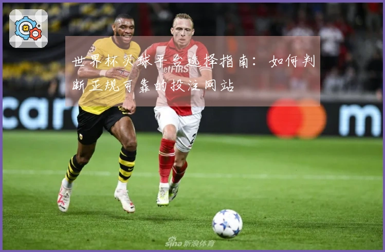 世界杯买球平台选择指南：如何判断正规可靠的投注网站