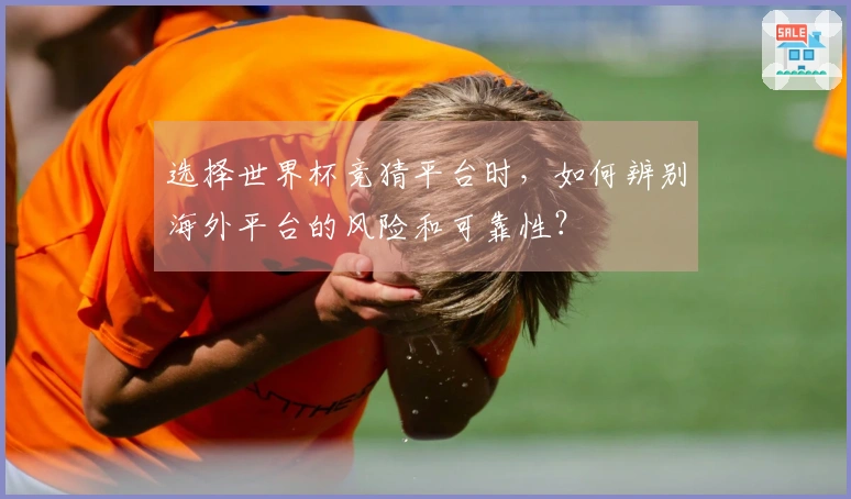 选择世界杯竞猜平台时，如何辨别海外平台的风险和可靠性？