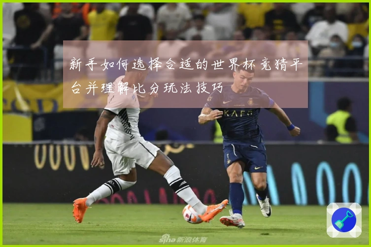 新手如何选择合适的世界杯竞猜平台并理解比分玩法技巧