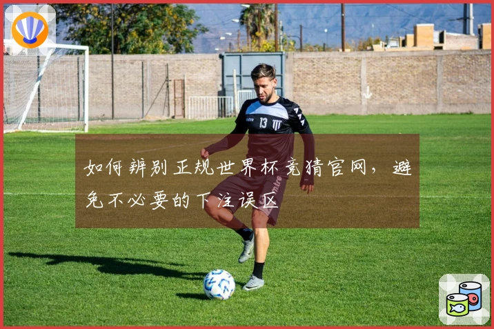 如何辨别正规世界杯竞猜官网，避免不必要的下注误区