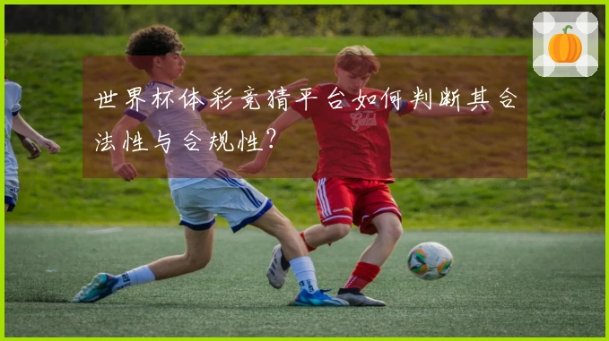 世界杯体彩竞猜平台如何判断其合法性与合规性？