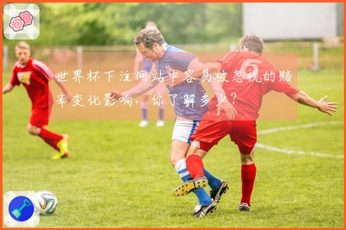 世界杯下注网站中容易被忽视的赔率变化影响，你了解多少？