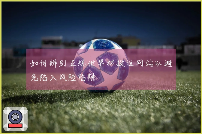 如何辨别正规世界杯投注网站以避免陷入风险陷阱