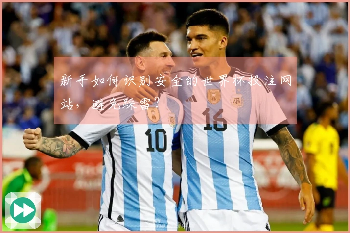 新手如何识别安全的世界杯投注网站，避免踩雷？