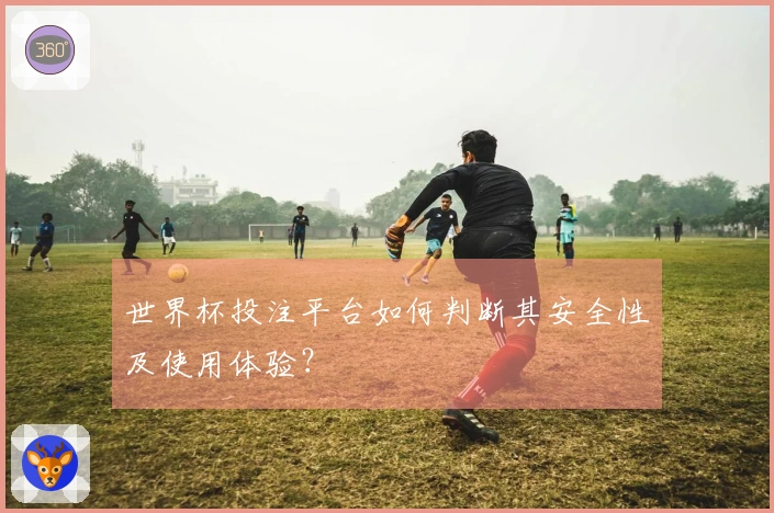 世界杯投注平台如何判断其安全性及使用体验？