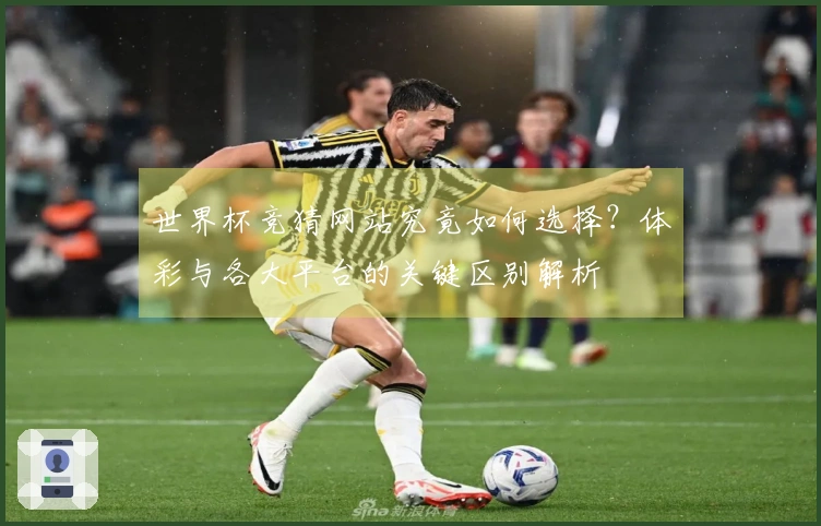 世界杯竞猜网站究竟如何选择？体彩与各大平台的关键区别解析