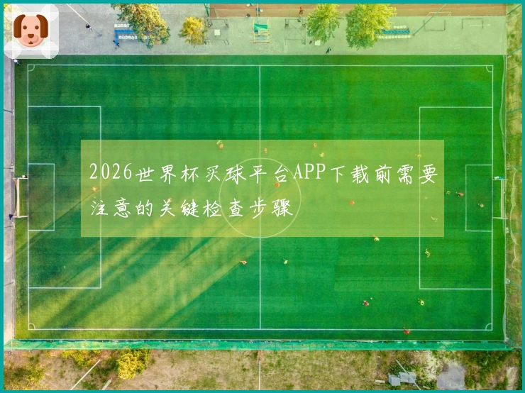 2026世界杯买球平台APP下载前需要注意的关键检查步骤