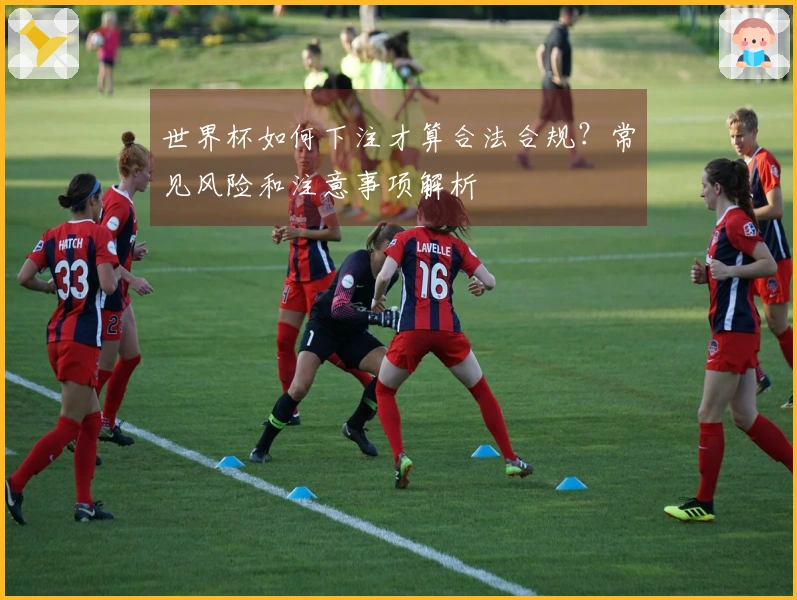 世界杯如何下注才算合法合规？常见风险和注意事项解析