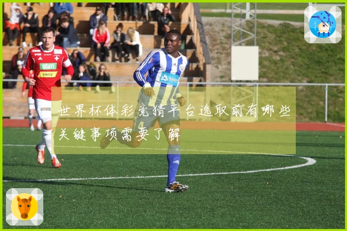 世界杯体彩竞猜平台选取前有哪些关键事项需要了解