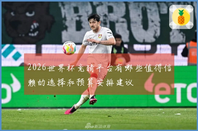 2026世界杯竞猜平台有哪些值得信赖的选择和预算安排建议