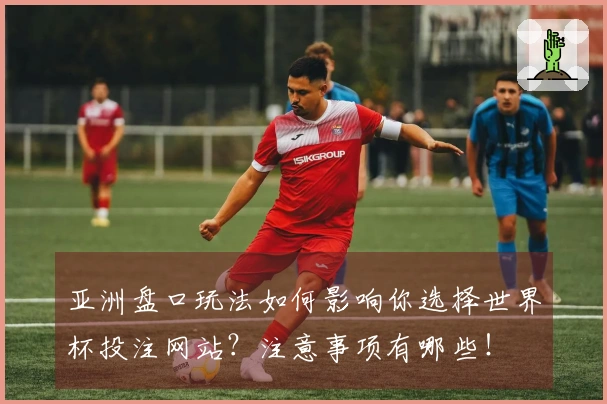 亚洲盘口玩法如何影响你选择世界杯投注网站？注意事项有哪些！