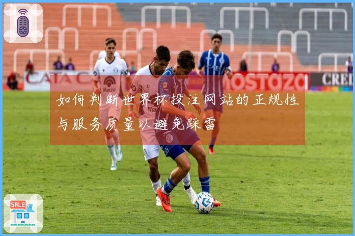 如何判断世界杯投注网站的正规性与服务质量以避免踩雷