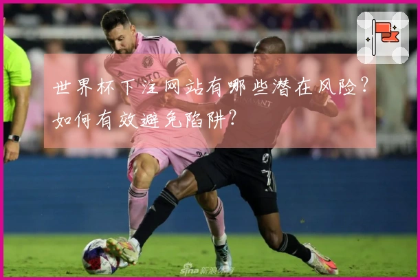 世界杯下注网站有哪些潜在风险？如何有效避免陷阱？