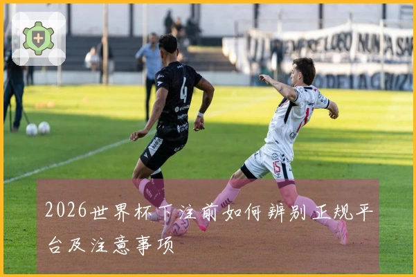 2026世界杯下注前如何辨别正规平台及注意事项