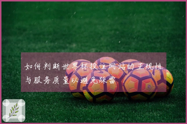 如何判断世界杯投注网站的正规性与服务质量以避免踩雷