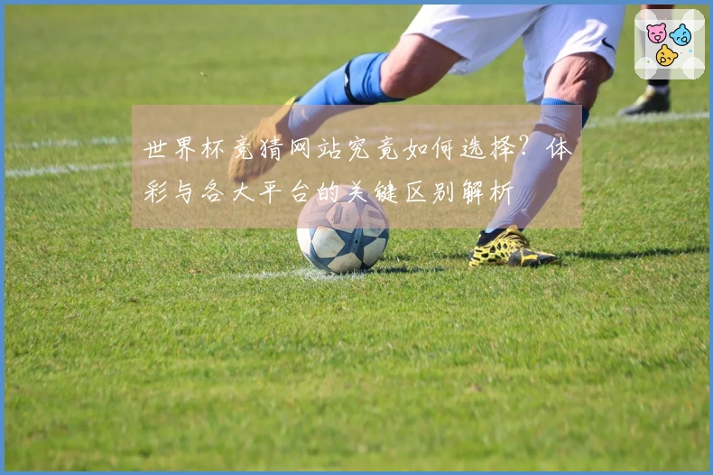 世界杯竞猜网站究竟如何选择？体彩与各大平台的关键区别解析