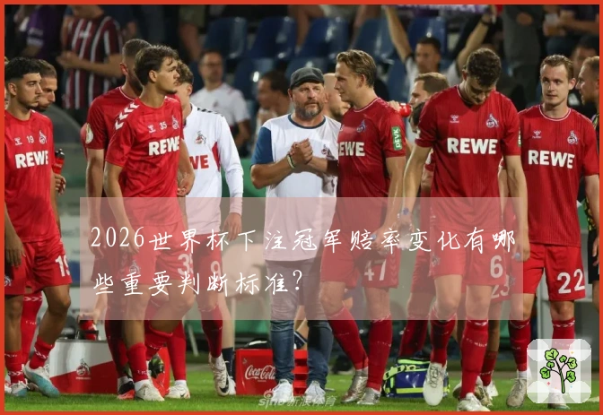 2026世界杯下注冠军赔率变化有哪些重要判断标准？