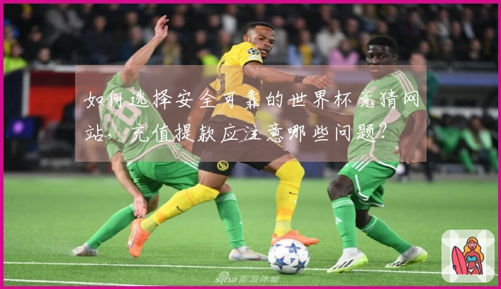 如何选择安全可靠的世界杯竞猜网站，充值提款应注意哪些问题？