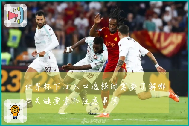 世界杯下注入口选择时需要了解哪些关键要素和注意事项